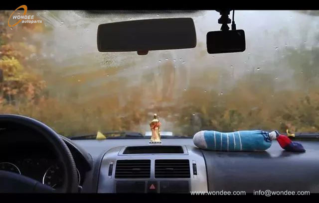 windshield (1)