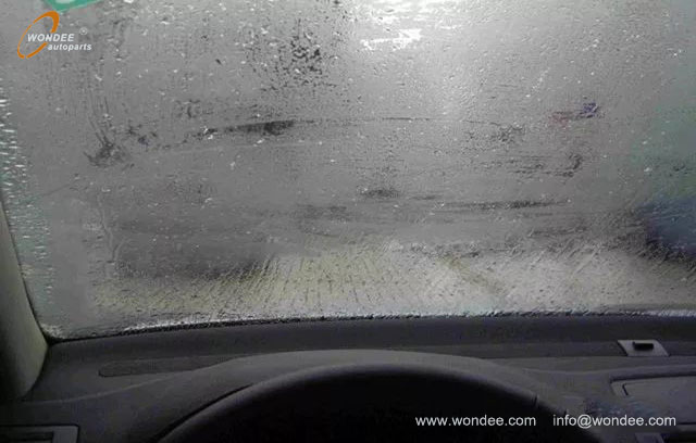 windshield (2)