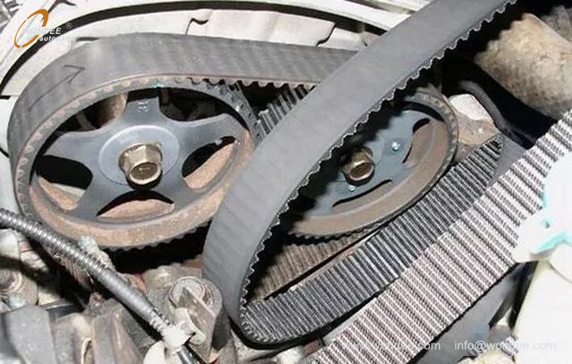 timing belt (1)