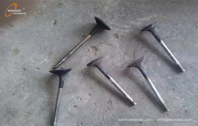 timing belt (3)