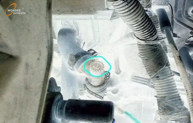 Auto antifreeze (4)