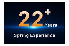 22 year spring experience